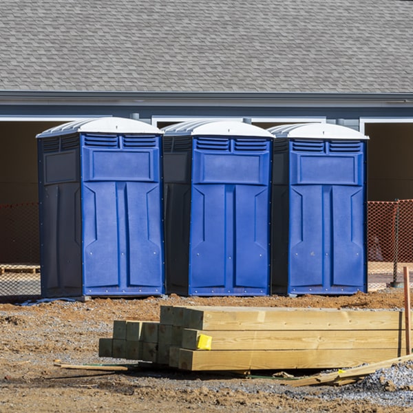do you offer wheelchair accessible porta potties for rent in Santo